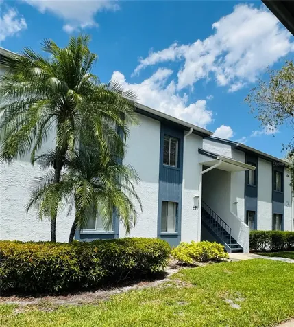 152 Cypress Lane Oldsmar FL 34677