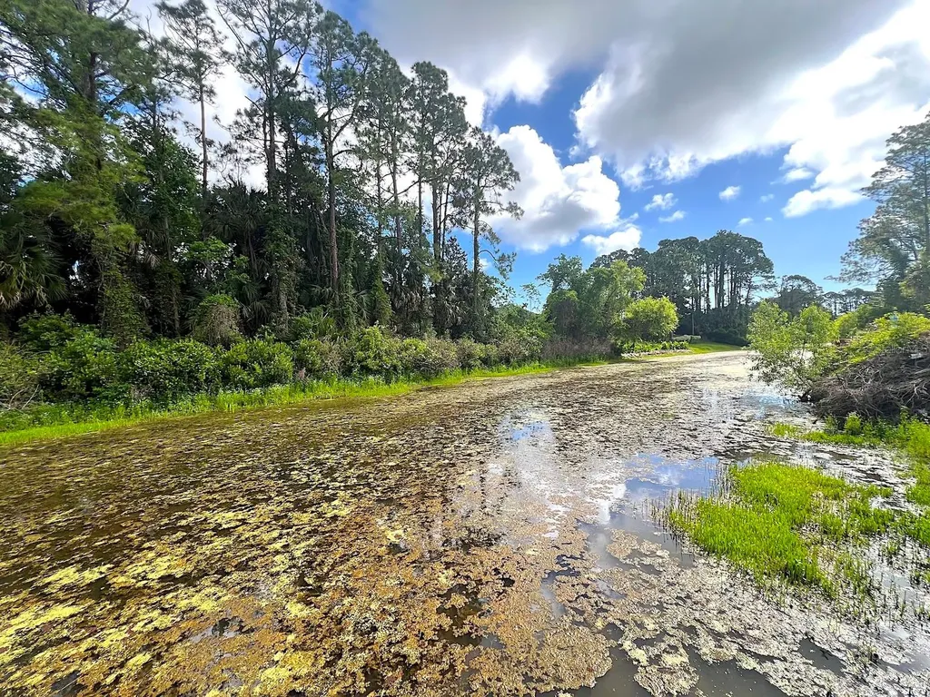 47 Pheasant Drive Palm Coast FL 32164