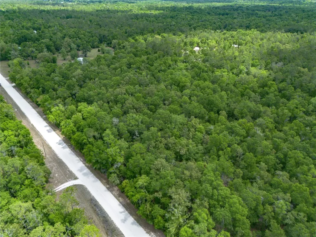 SW Loncala Loop Fort White FL 32038