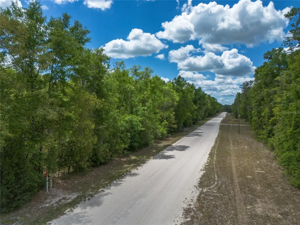 SW Loncala Loop Fort White FL 32038