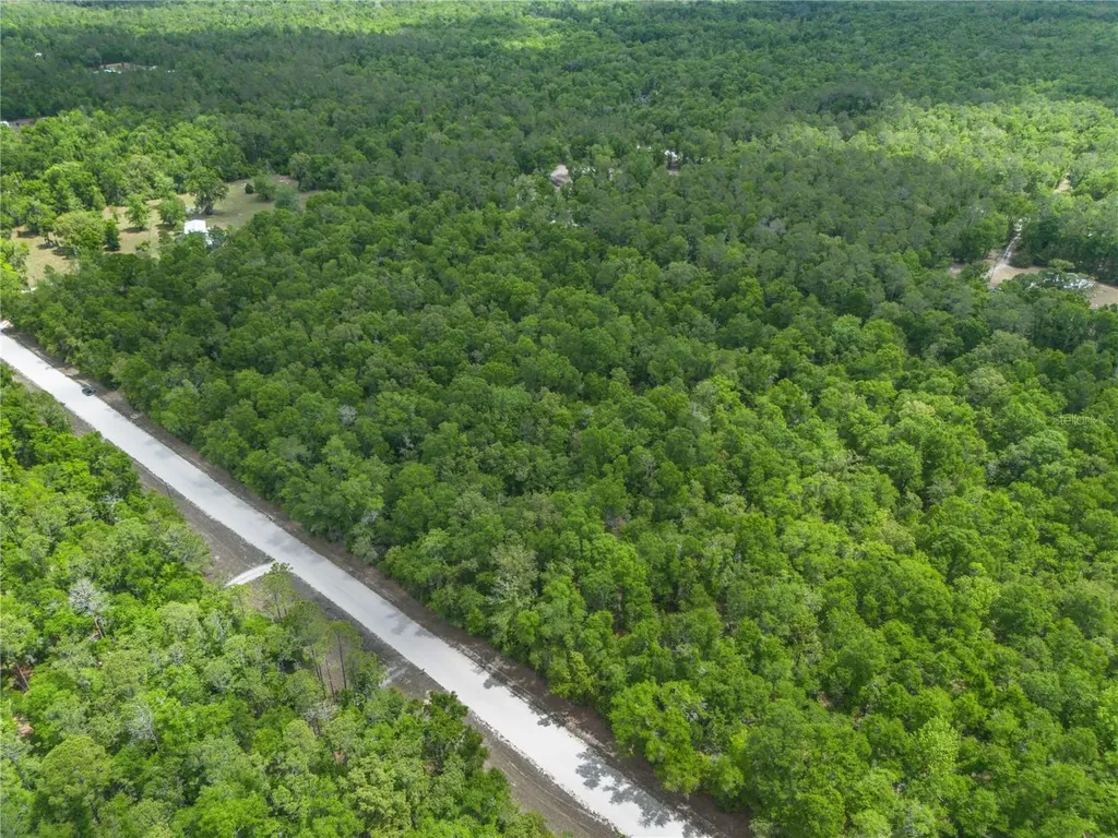 SW Loncala Loop Fort White FL 32038