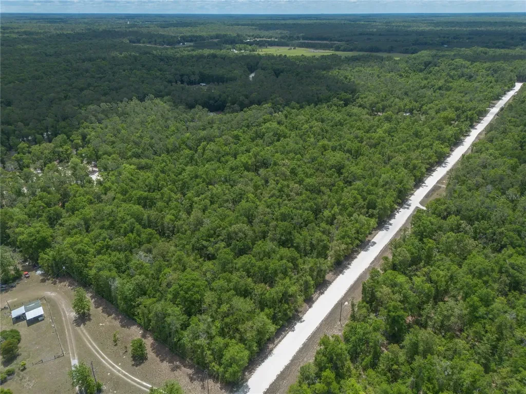 SW Loncala Loop Fort White FL 32038