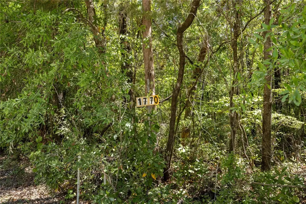 SW Loncala Loop Fort White FL 32038
