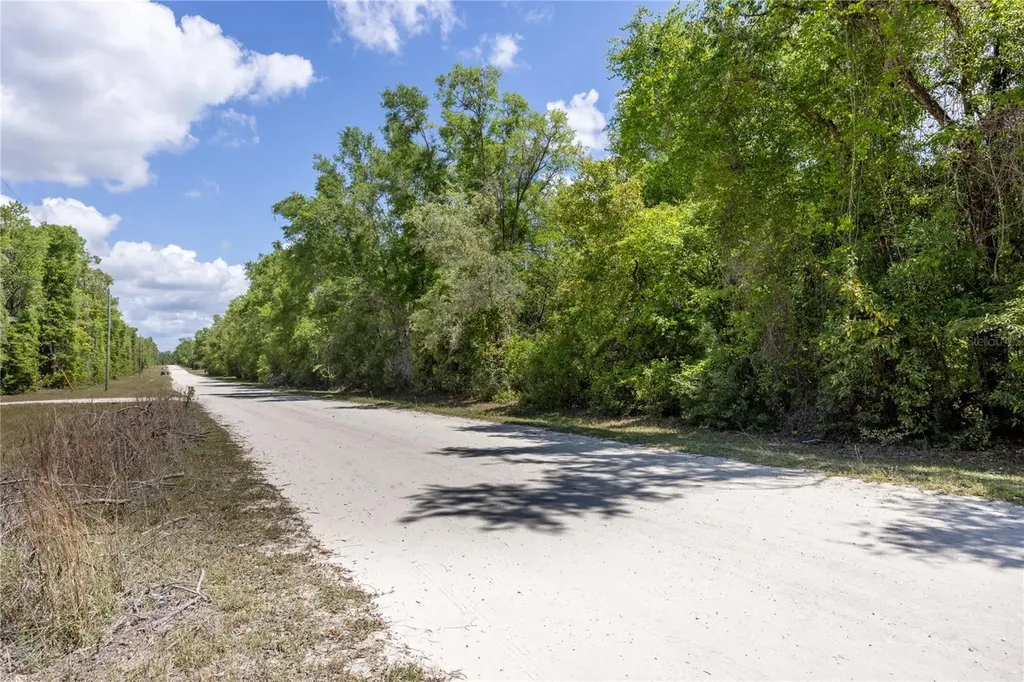 SW Loncala Loop Fort White FL 32038