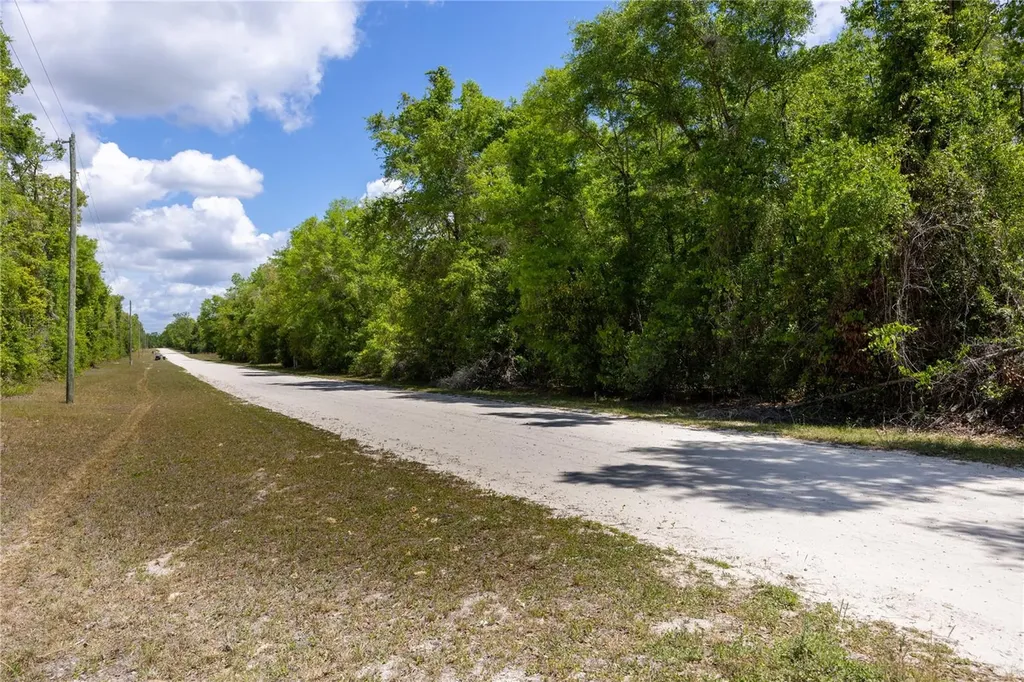 SW Loncala Loop Fort White FL 32038