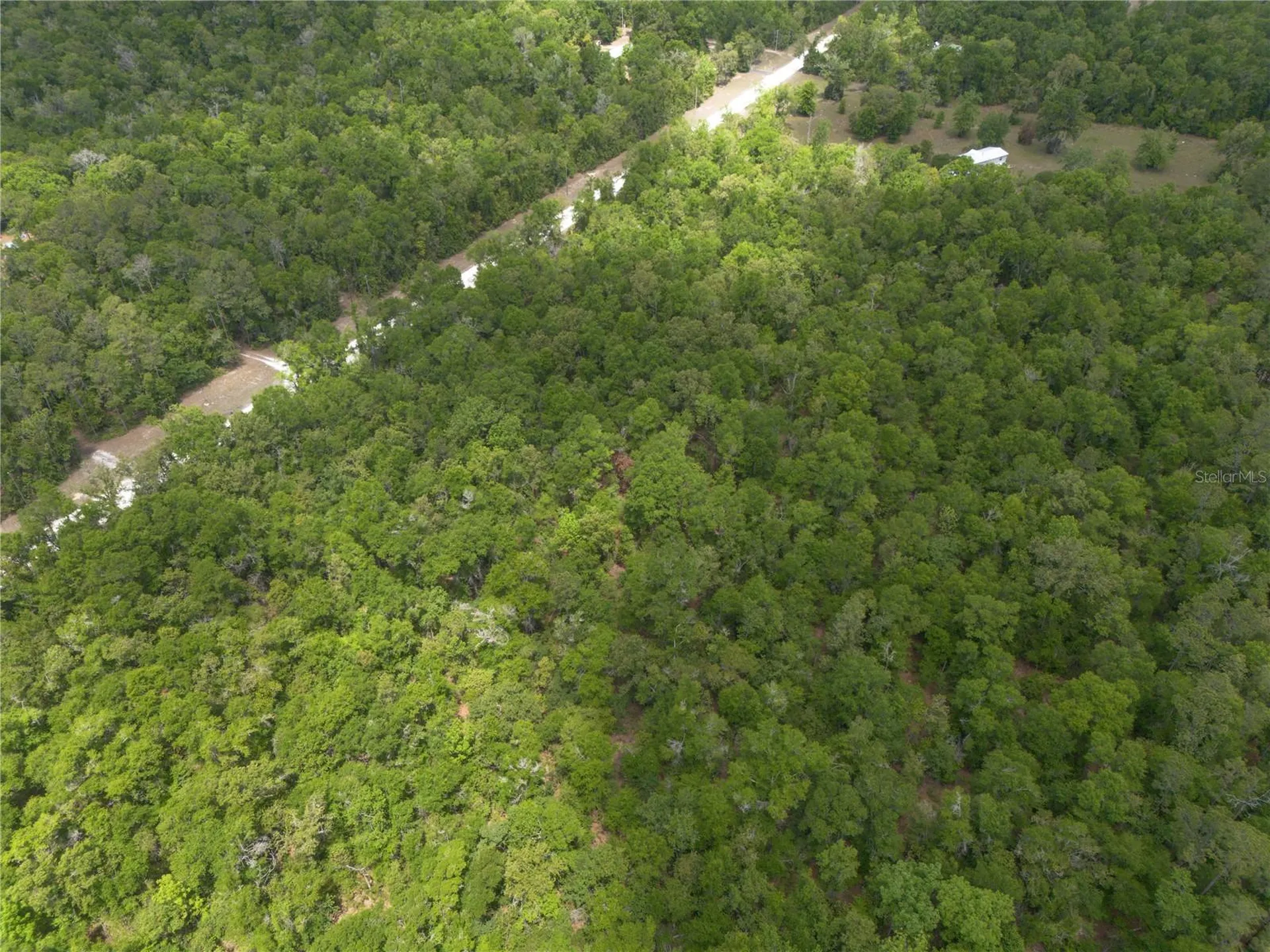 SW Loncala Loop Fort White FL 32038