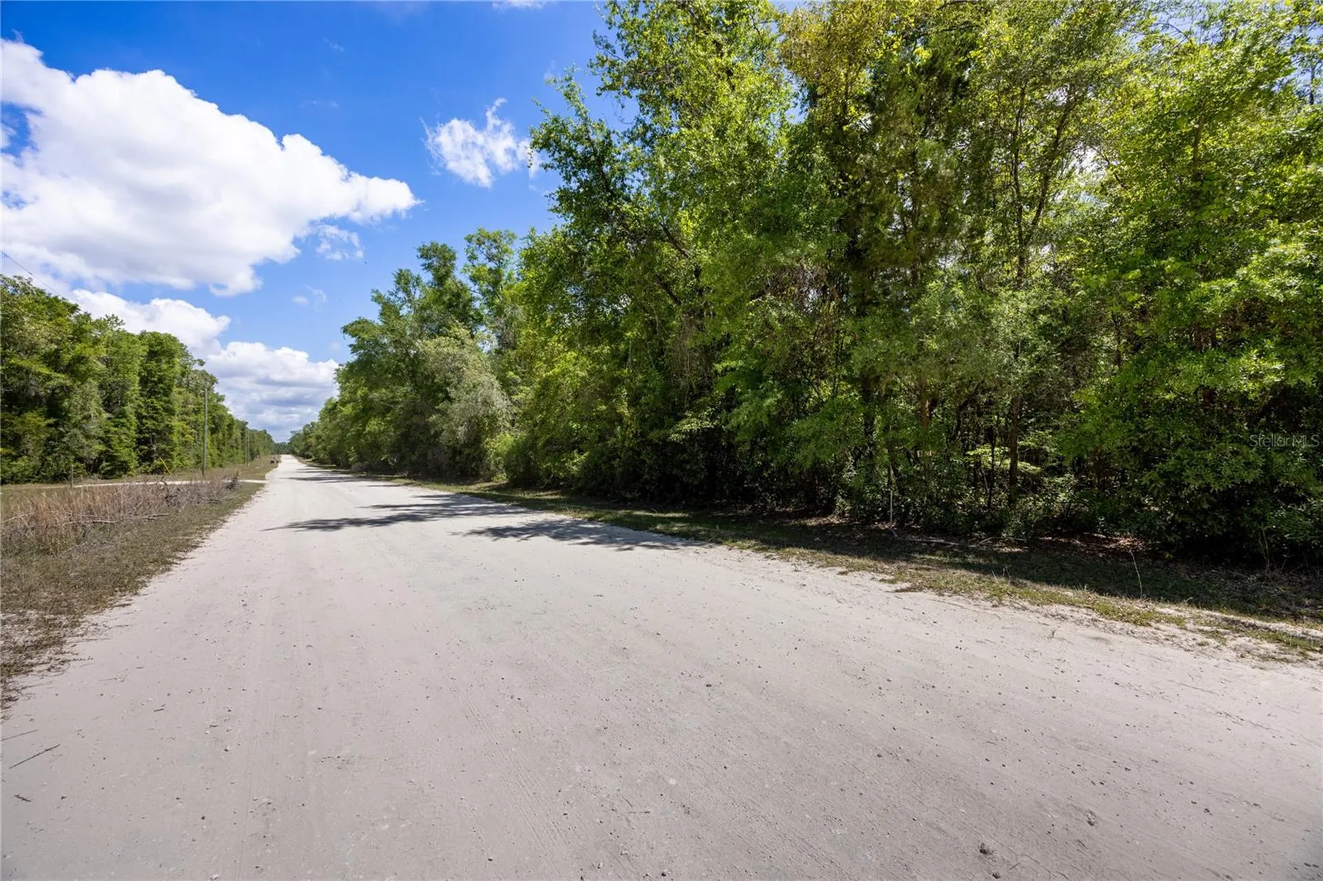 SW Loncala Loop Fort White FL 32038