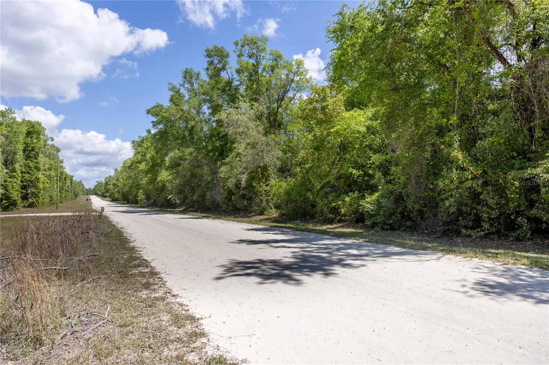 SW Loncala Loop Fort White FL 32038