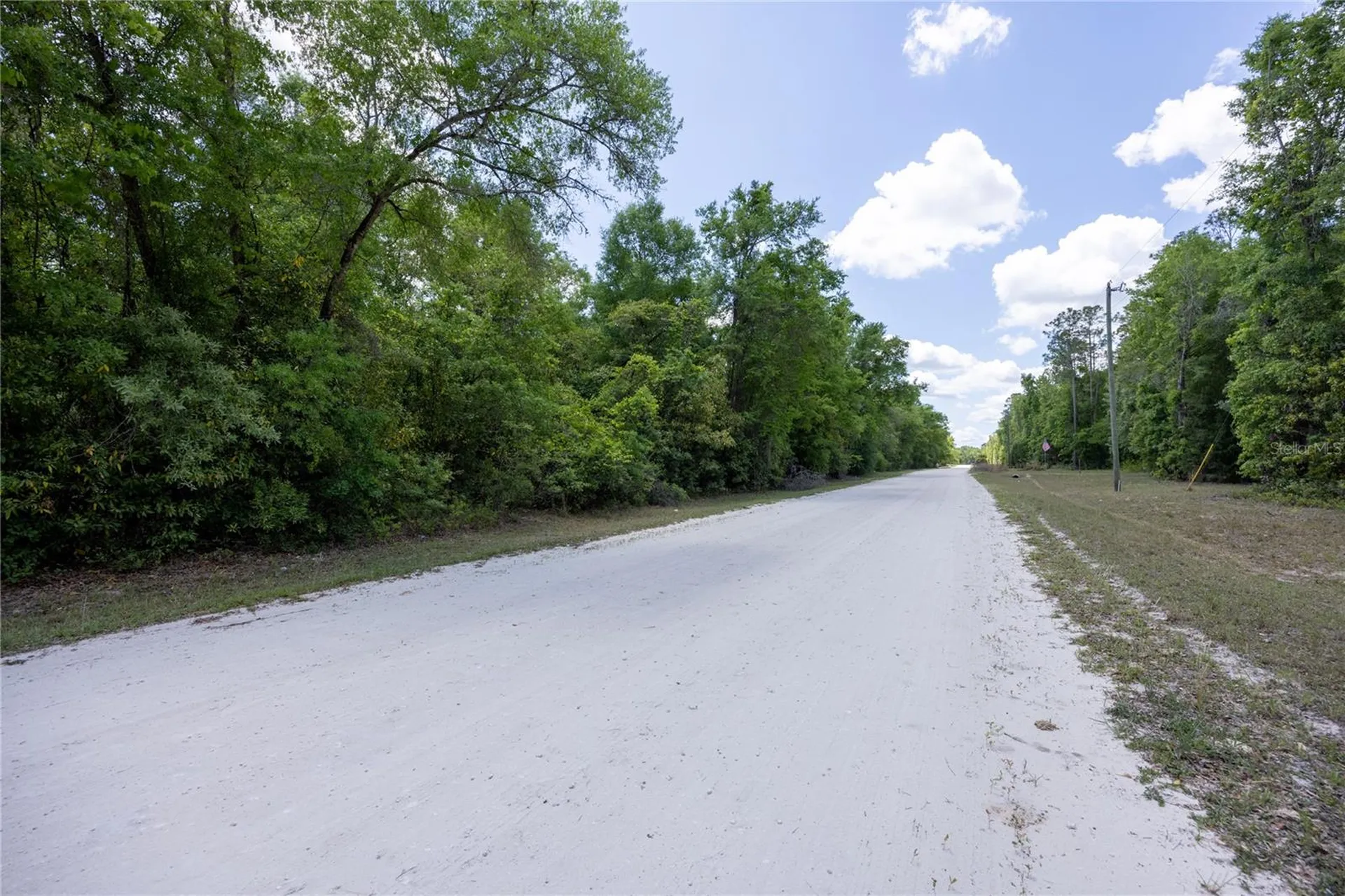 SW Loncala Loop Fort White FL 32038