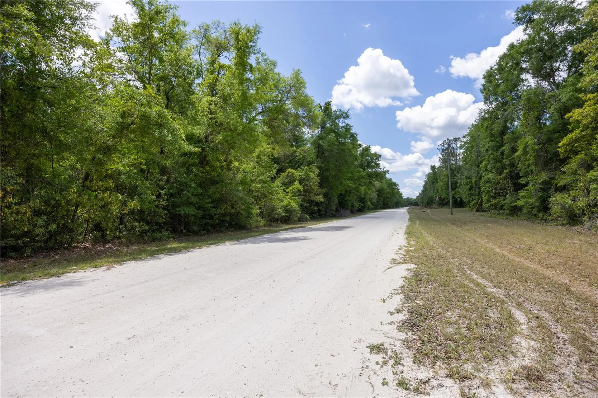 SW Loncala Loop Fort White FL 32038
