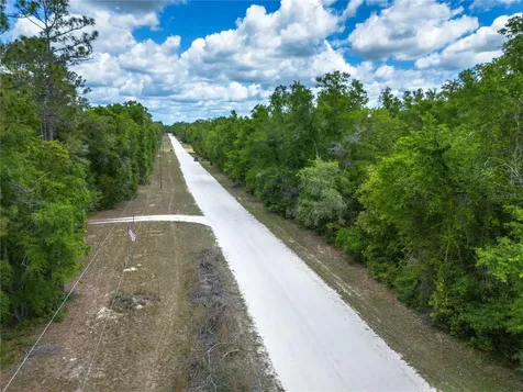 SW Loncala Loop Fort White FL 32038