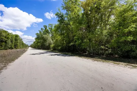 SW Loncala Loop Fort White FL 32038