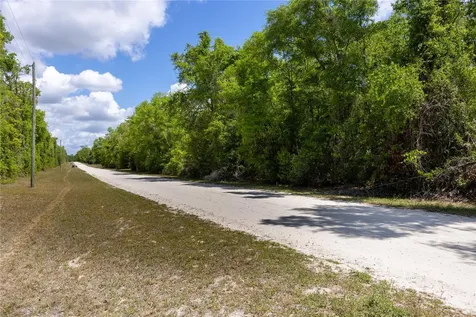 SW Loncala Loop Fort White FL 32038