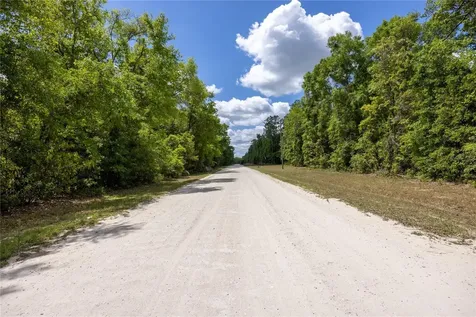 SW Loncala Loop Fort White FL 32038