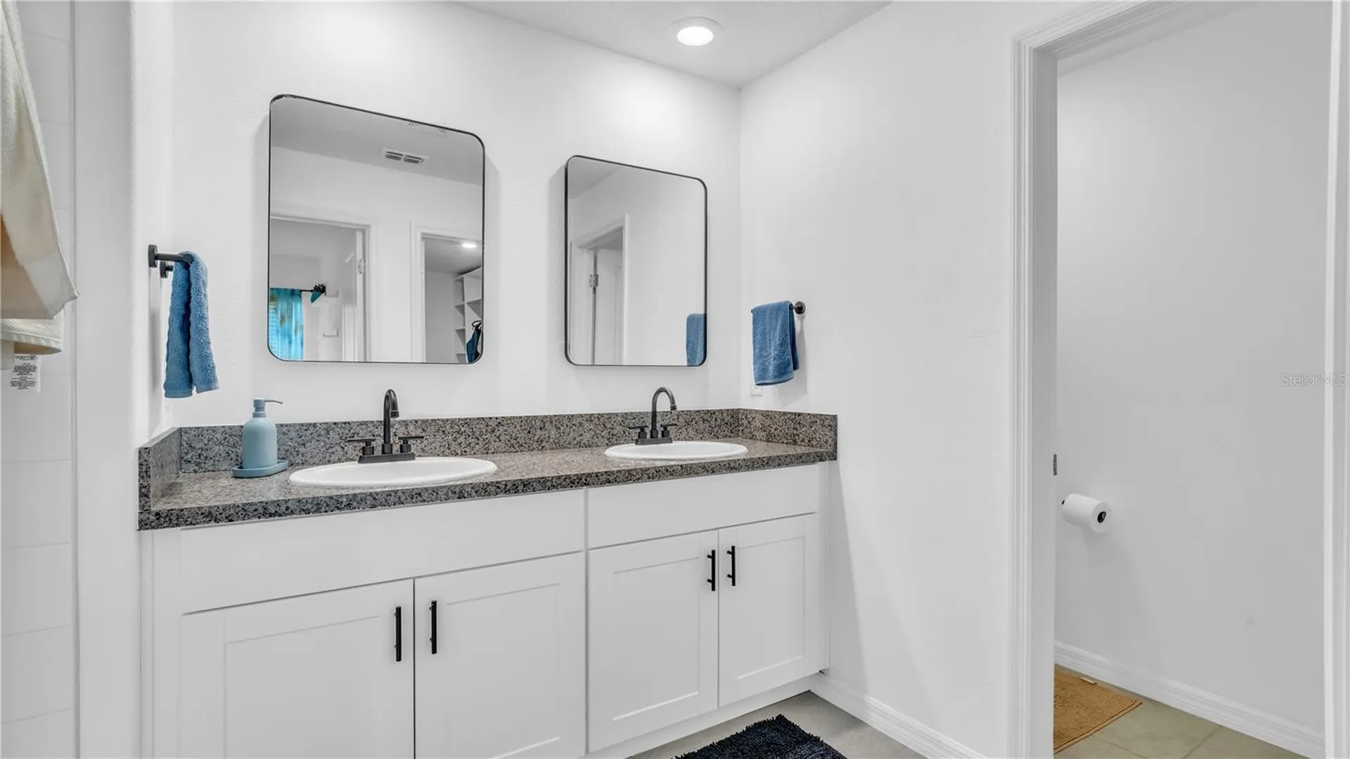 1841 Crinkle Leaf Court Ruskin FL 33570