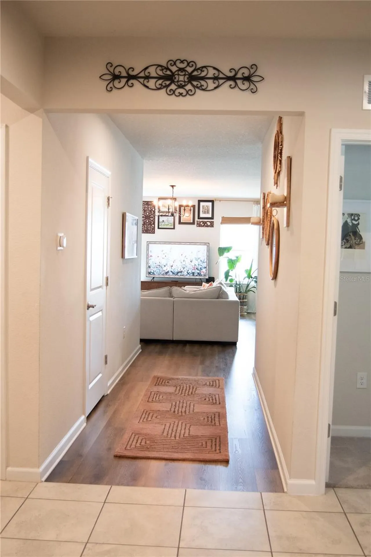 255 August Fern Loop Mount Dora FL 32757