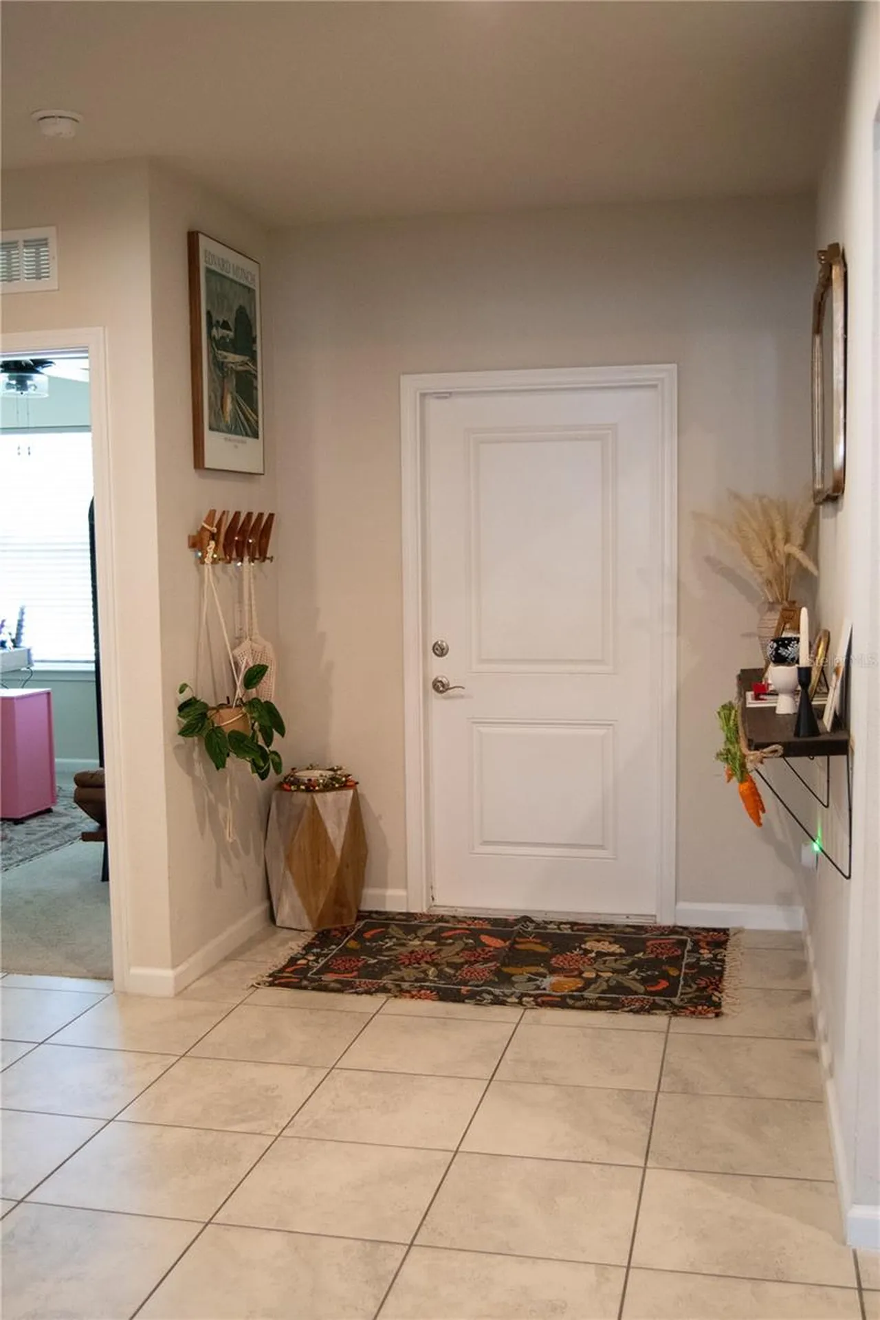 255 August Fern Loop Mount Dora FL 32757