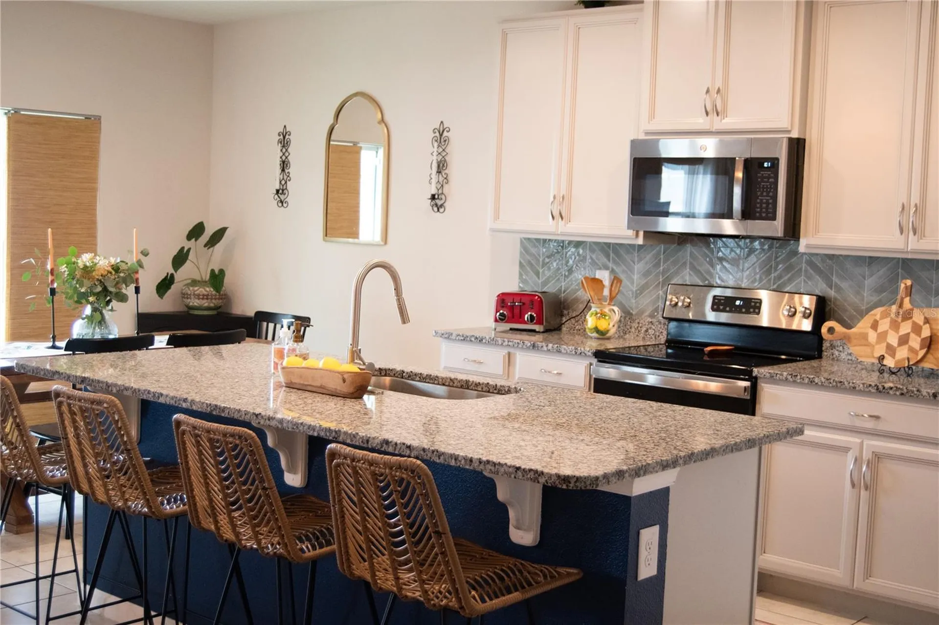 255 August Fern Loop Mount Dora FL 32757