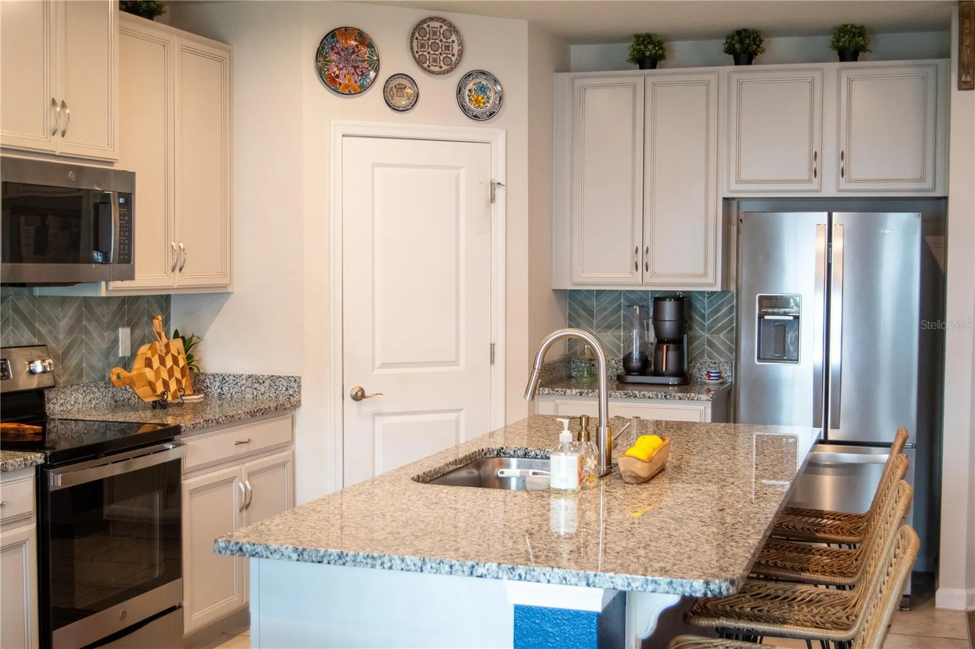 255 August Fern Loop Mount Dora FL 32757