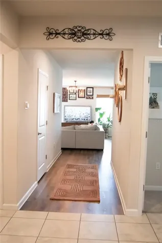 255 August Fern Loop Mount Dora FL 32757