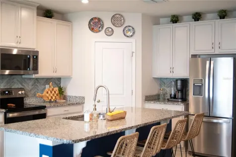 255 August Fern Loop Mount Dora FL 32757