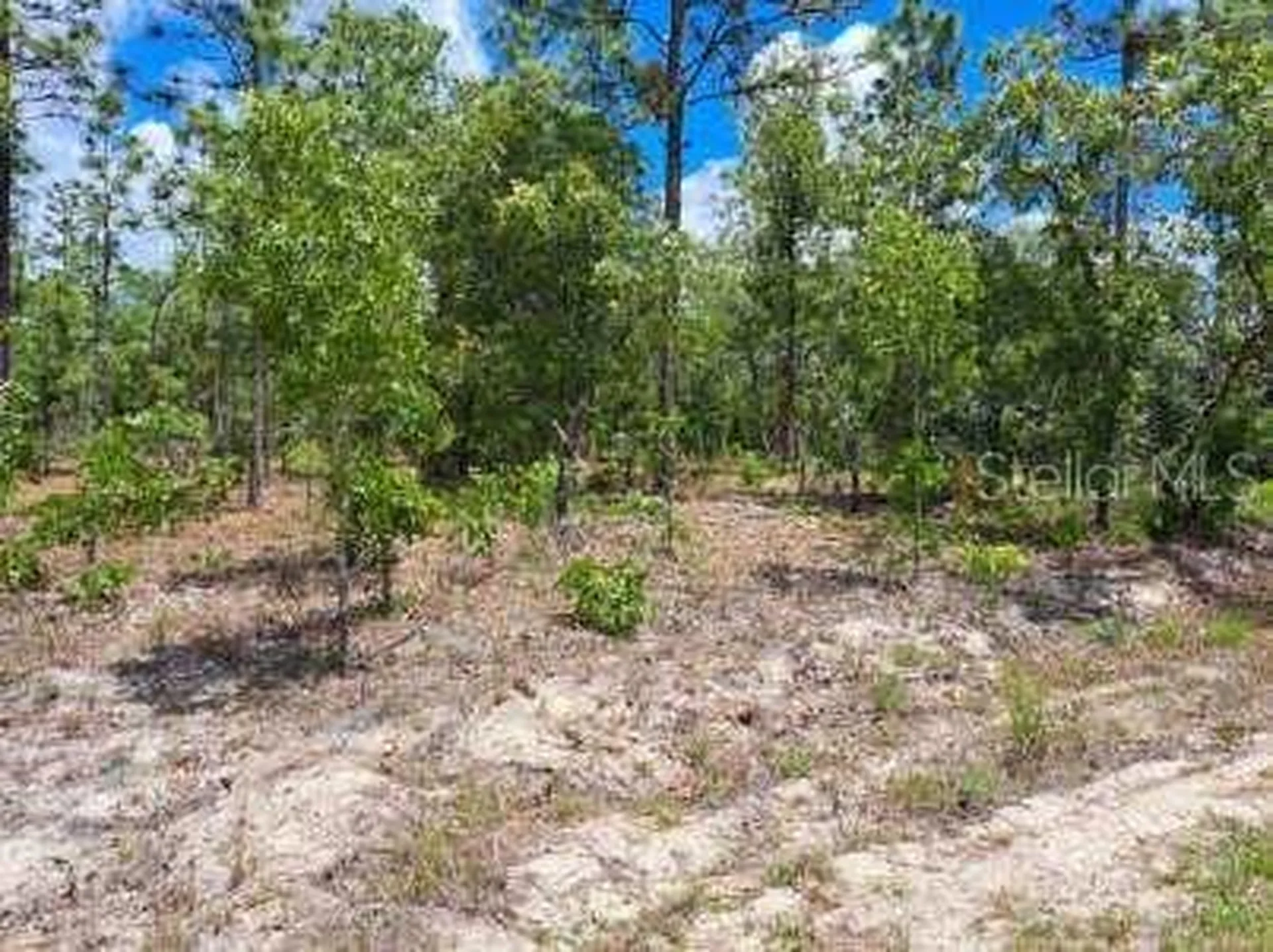 0 SW 87 Street Dunnellon FL 34432