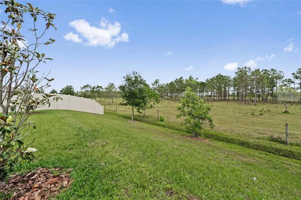 799 Hitch Loop St Cloud FL 34772
