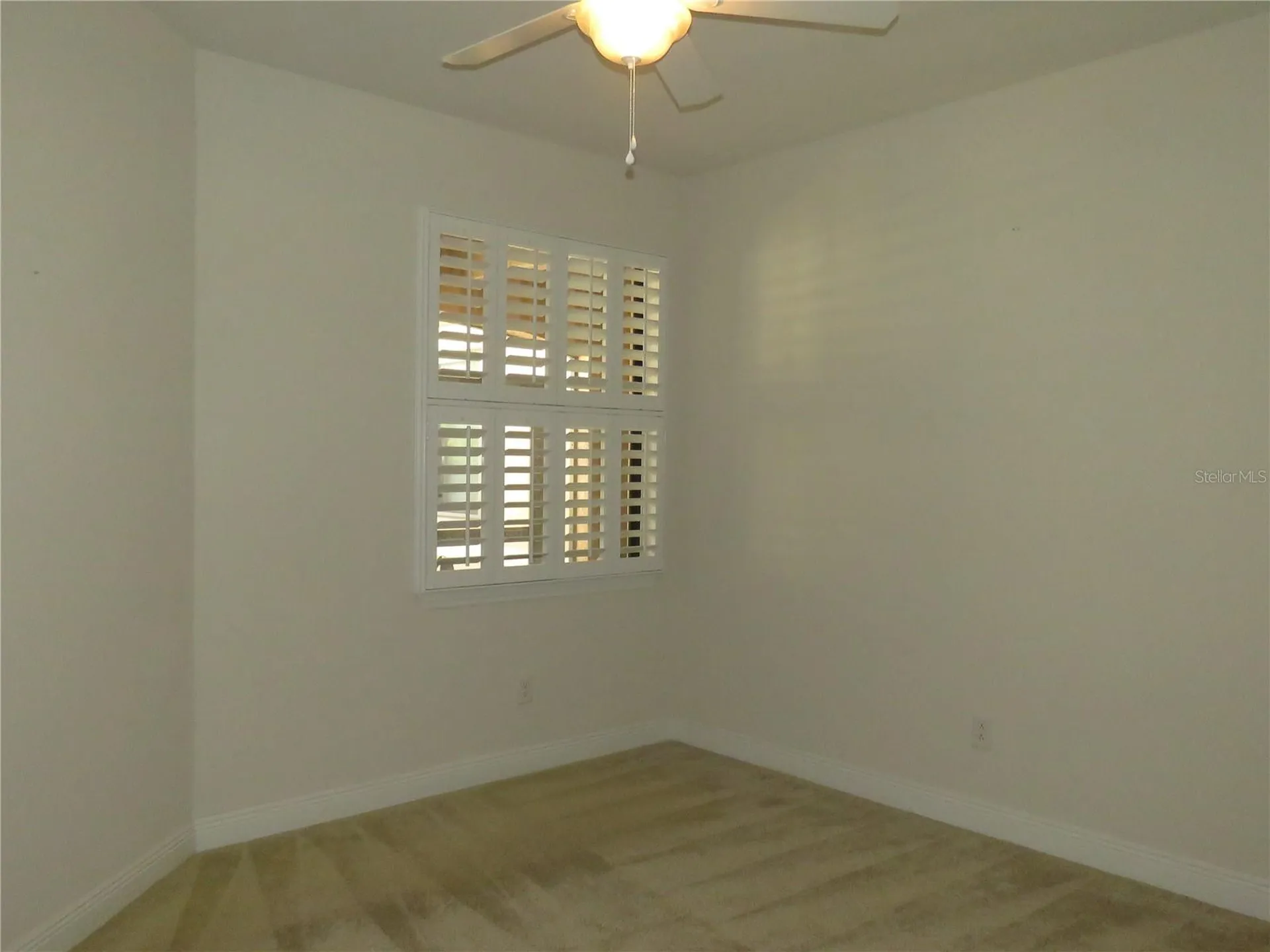 206 Shell Falls Drive Apollo Beach FL 33572