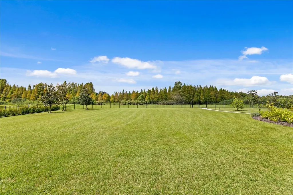 10521 Broadland Pass Thonotosassa FL 33592