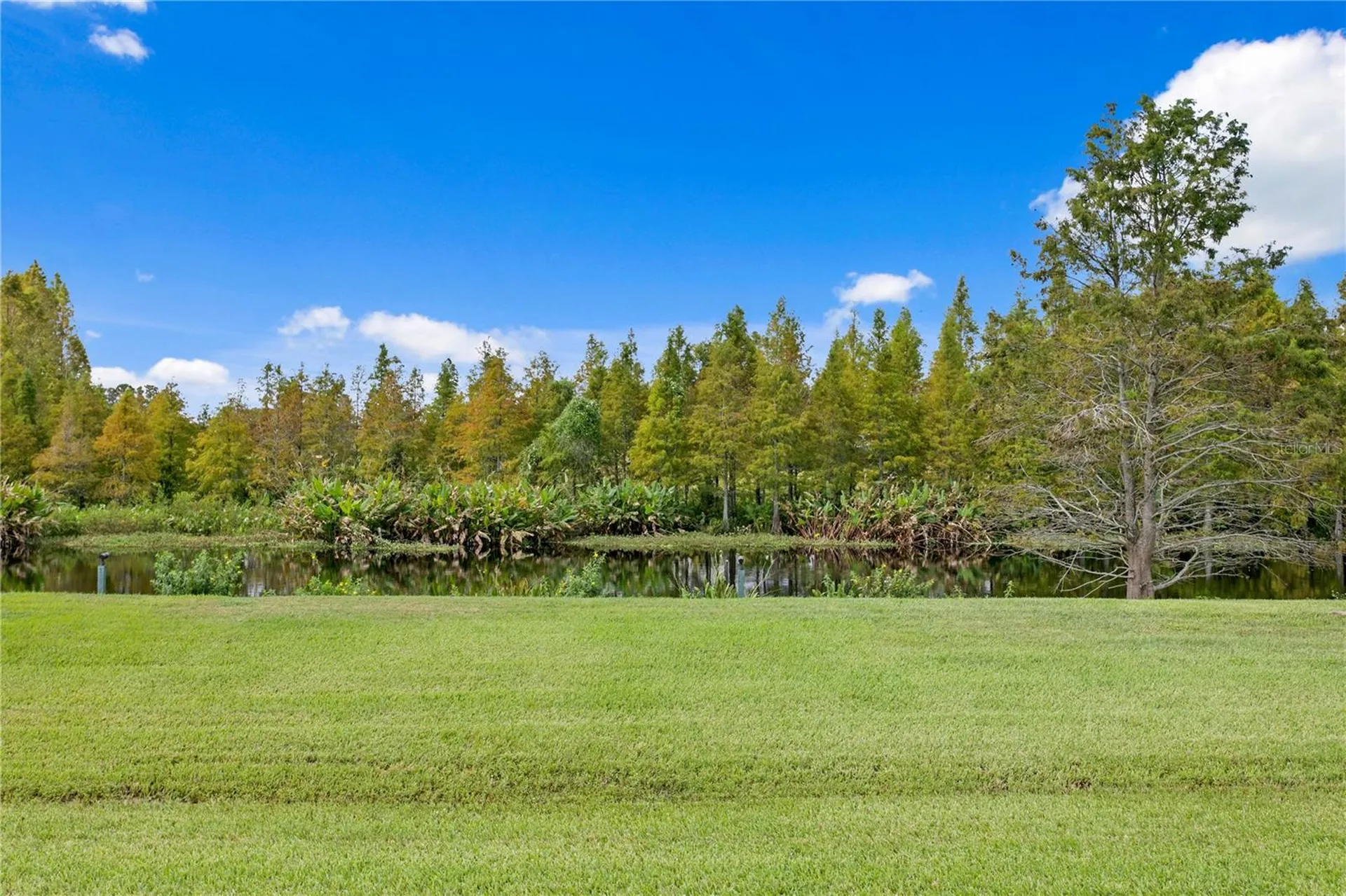 10521 Broadland Pass Thonotosassa FL 33592