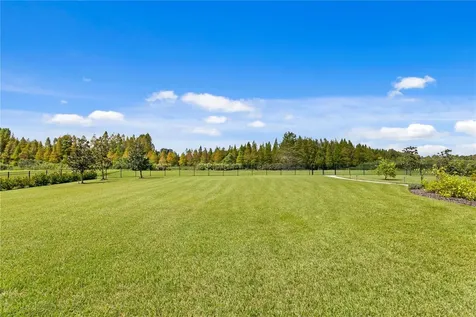 10521 Broadland Pass Thonotosassa FL 33592