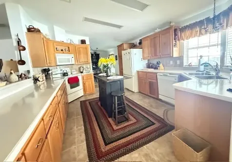 197 Philadelphia Boulevard Palm Harbor FL 34684