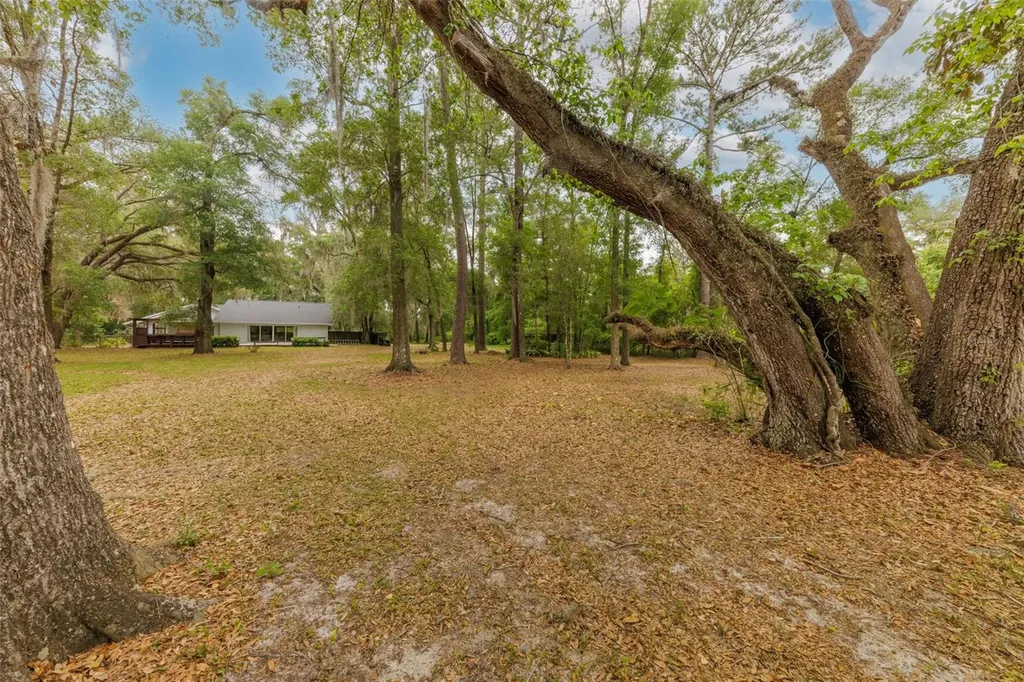 818 NW 202nd Street Newberry FL 32669