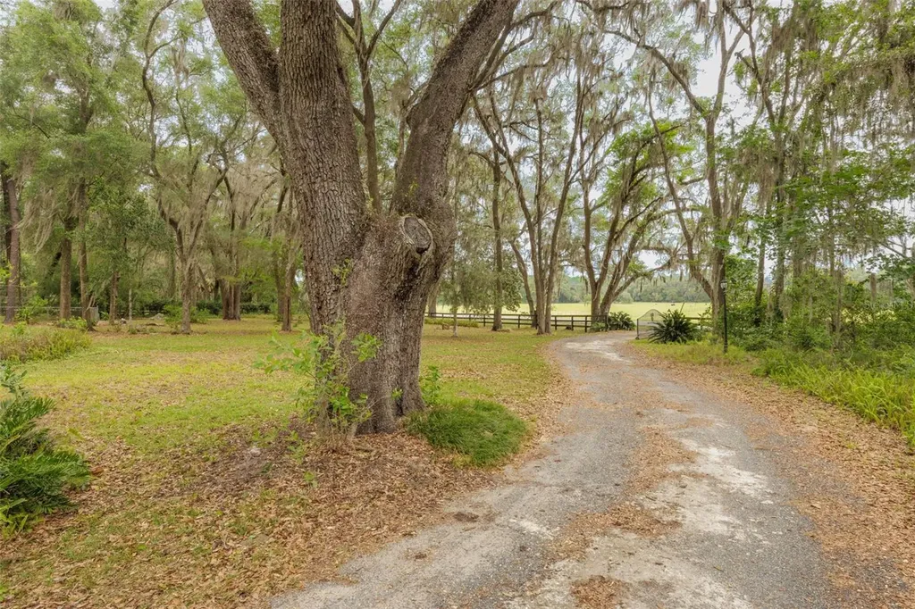 818 NW 202nd Street Newberry FL 32669