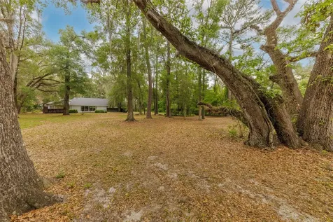 818 NW 202nd Street Newberry FL 32669