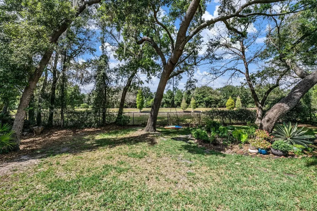 6004 Hammock Hill Avenue Lithia FL 33547