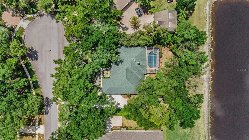 6004 Hammock Hill Avenue Lithia FL 33547
