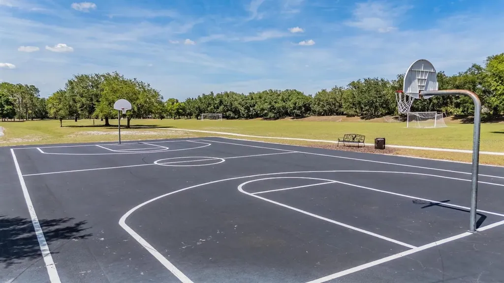 6004 Hammock Hill Avenue Lithia FL 33547