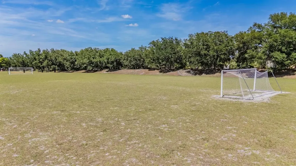 6004 Hammock Hill Avenue Lithia FL 33547