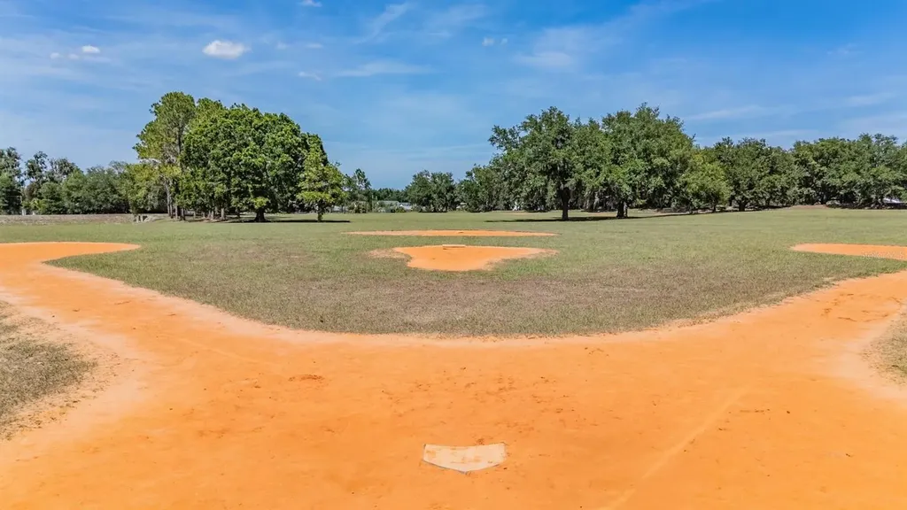 6004 Hammock Hill Avenue Lithia FL 33547