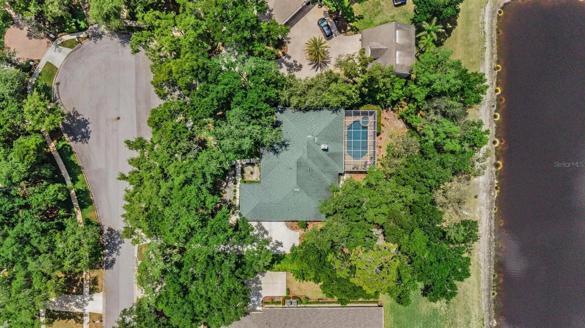6004 Hammock Hill Avenue Lithia FL 33547