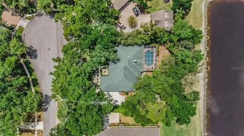 6004 Hammock Hill Avenue Lithia FL 33547