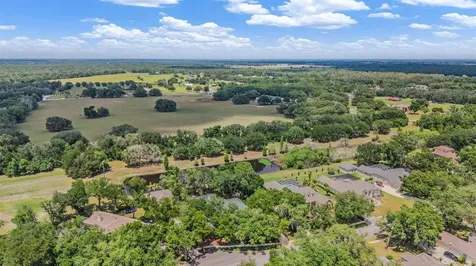 6004 Hammock Hill Avenue Lithia FL 33547