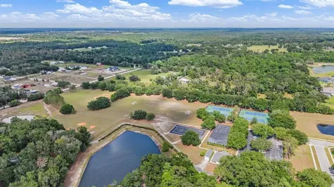 6004 Hammock Hill Avenue Lithia FL 33547