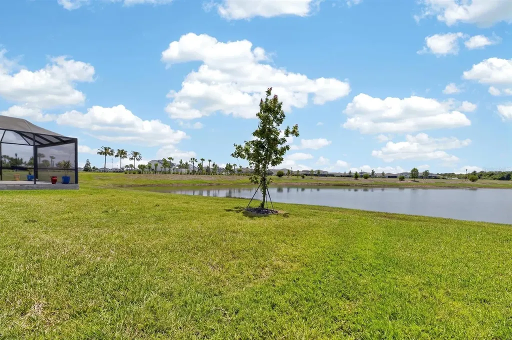 6081 Hidden Branch Drive Apollo Beach FL 33572