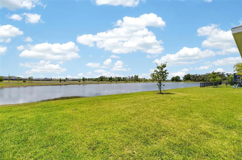 6081 Hidden Branch Drive Apollo Beach FL 33572