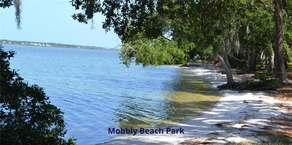 105 Kilsythe Street Oldsmar FL 34677