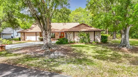 2 Jungleplum Court W Homosassa FL 34446
