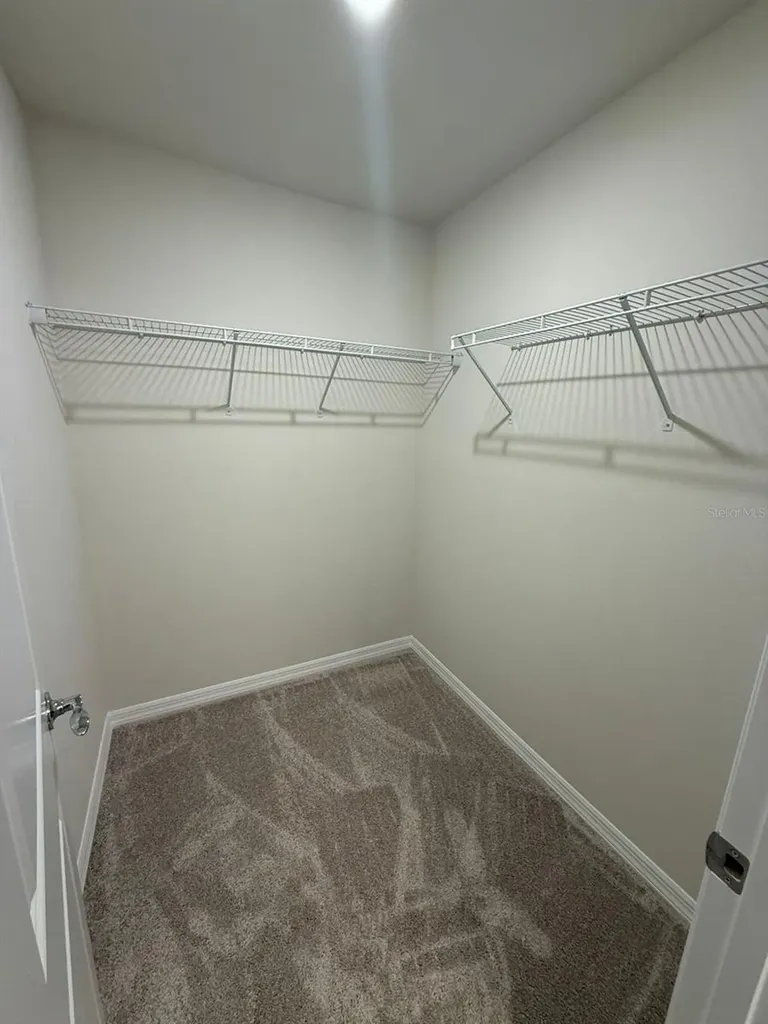 16292 Bright Leaf Road Winter Garden FL 34787