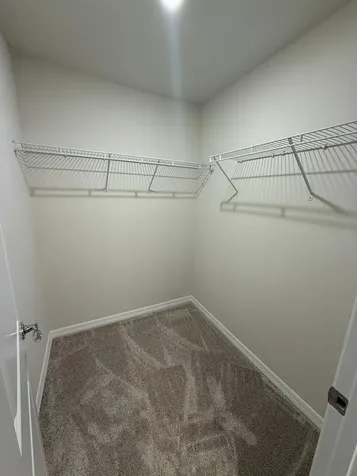 16292 Bright Leaf Road Winter Garden FL 34787